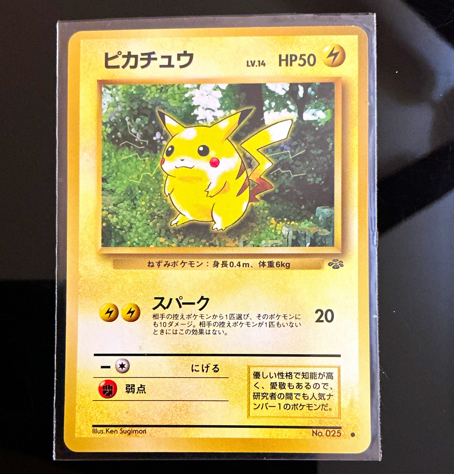 Nintendo 1996 Pokémon Pikachu 025 – Jungle – Japanese – Regular – 50 HP Common Nintendo 1996 Pokémon Pikachu 025 – Jungle – Japanese – Regular – 50 HP Common