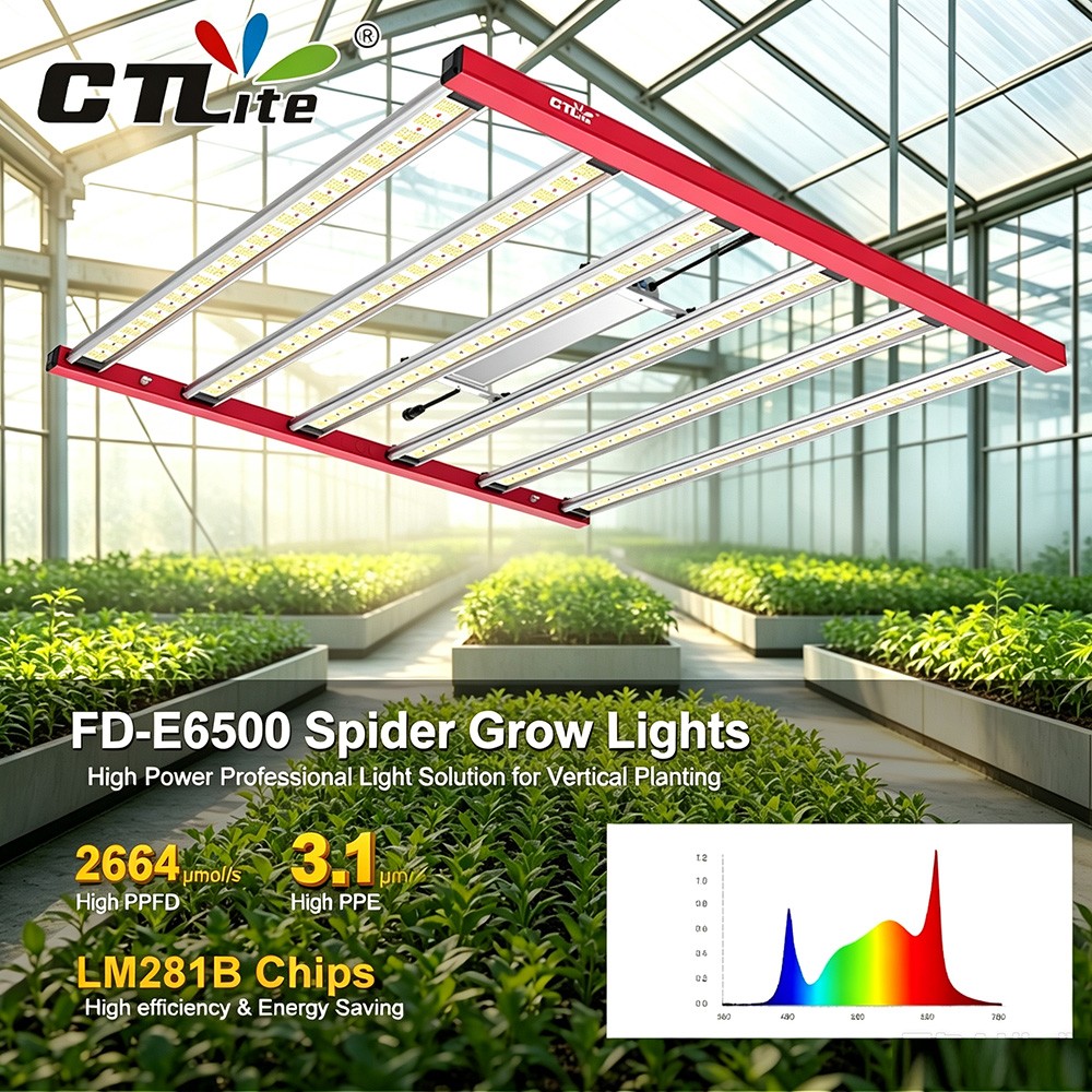 6500W Professional Grow Light & High Yield Growing Lamp for Commercial Grow Tent