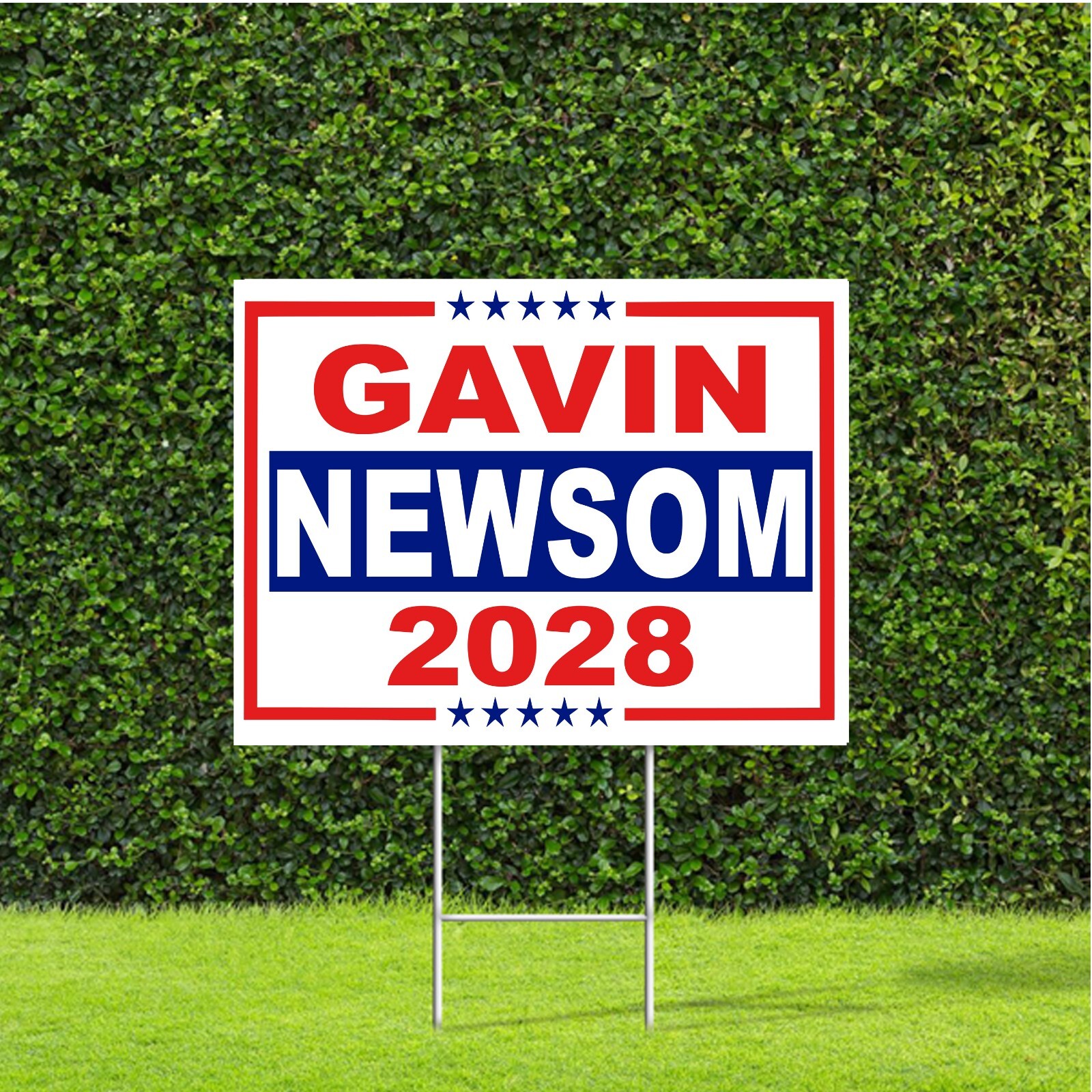 Gavin Newsom 2028 President Election Yard Sign with Metal H Stake Gavin Newsom 2028 President Election Yard Sign with Metal H Stake