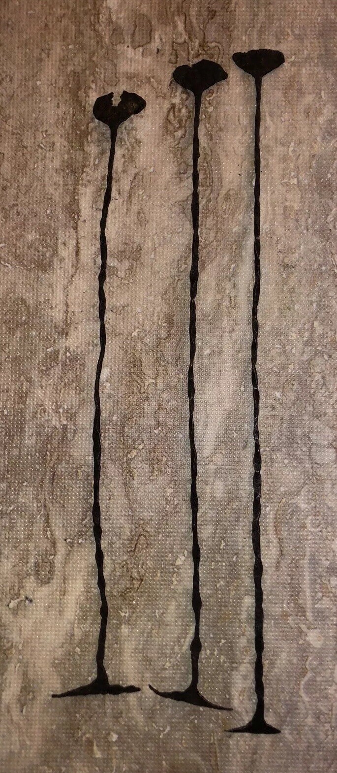 Three 14-16” Primitive Tribal Money African Dowry KISSI KISI KISSY PENNIES