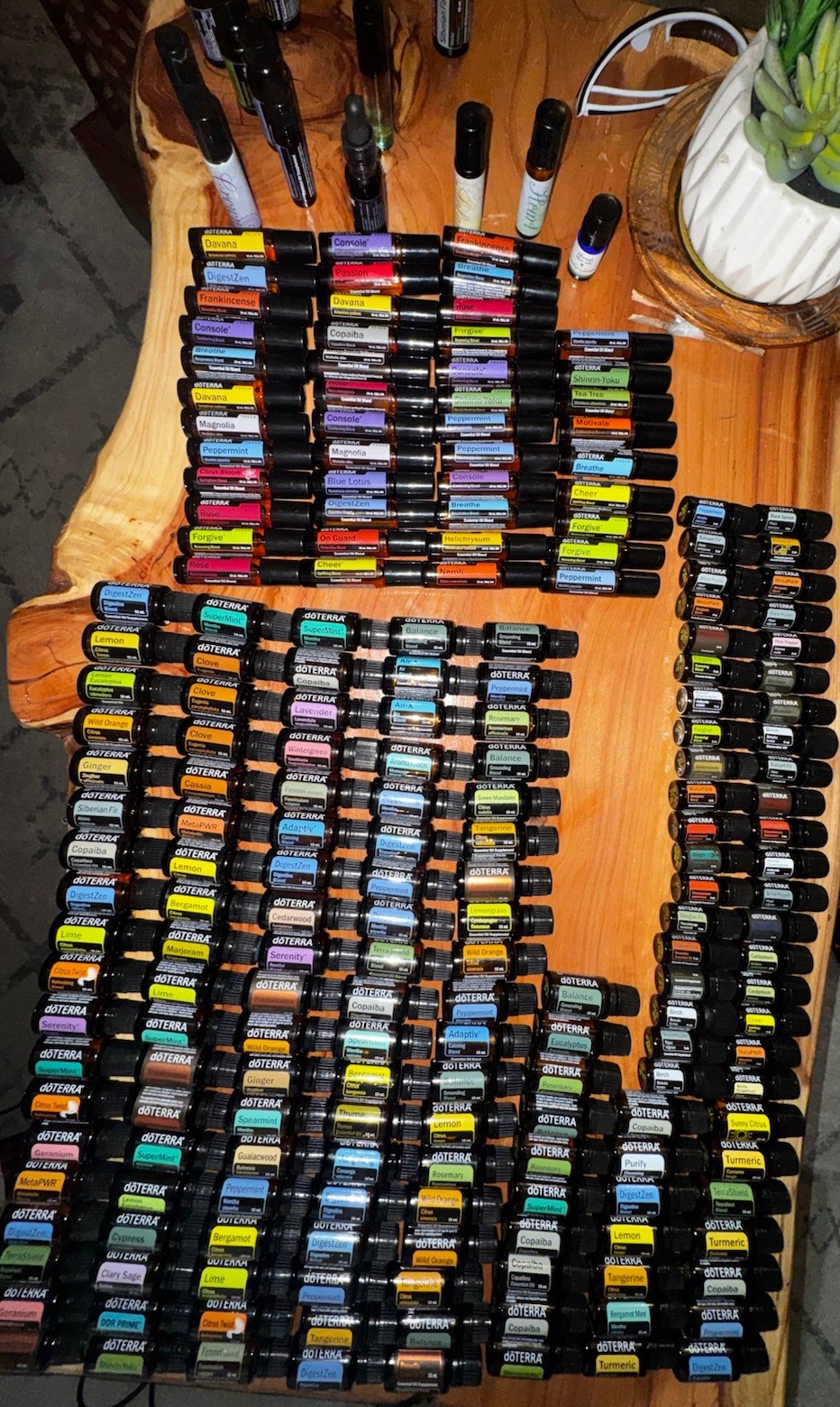Huge 200+ Bottle doTERRA Essential Oil Collection 80-90% Full + 2 Rotating Racks