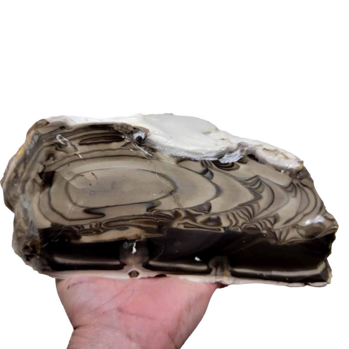 RARE Polish Flint Orbicular Rough Chunk