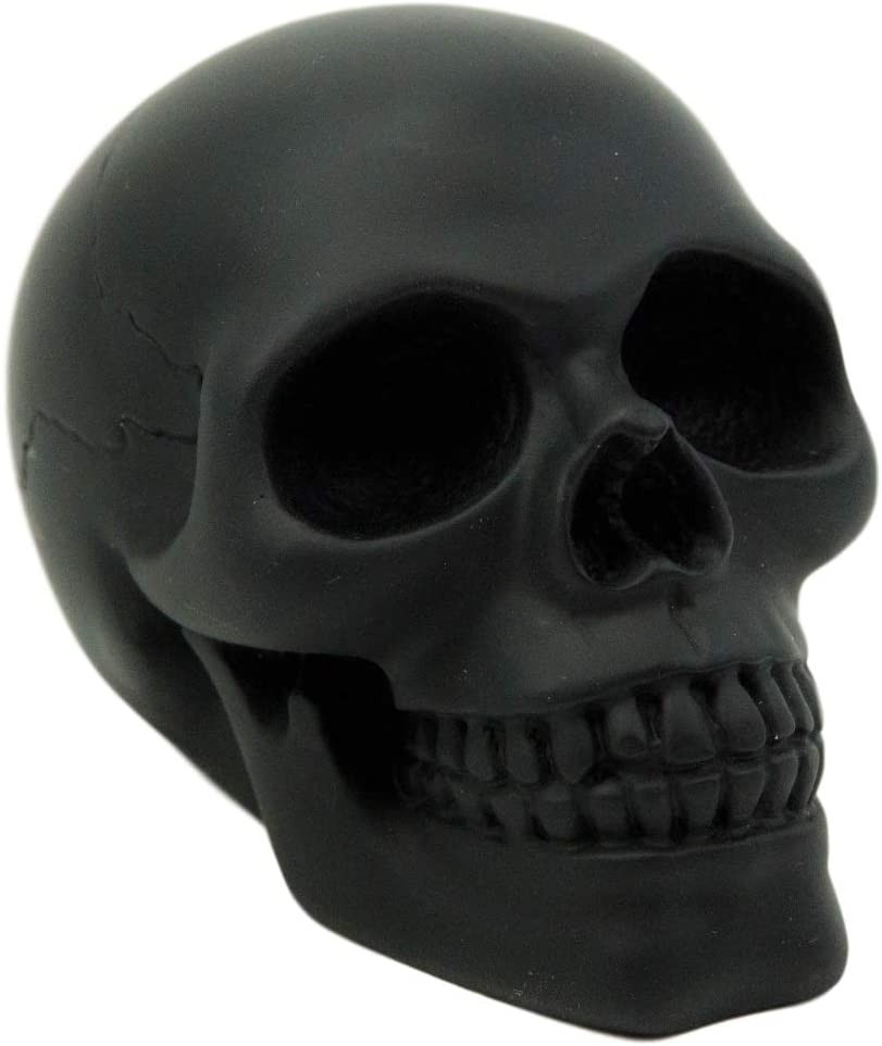 Ebros Pirate\'s Loot Graveyard Human Skull Statue 3.75\