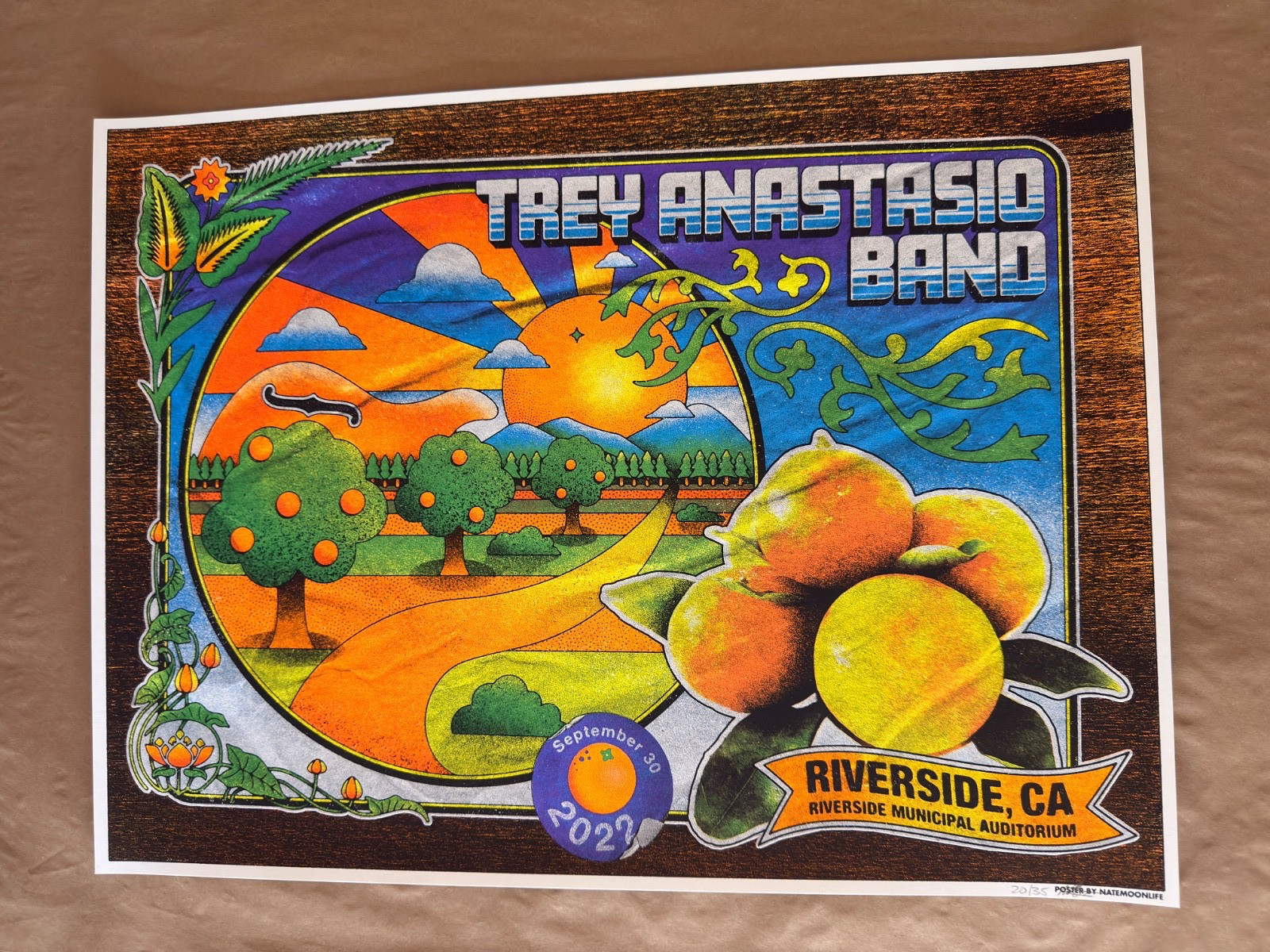 Trey Anastasio Band Riverside 2022 Nate Moon Poster #20/35 Phish TAB 18x24
