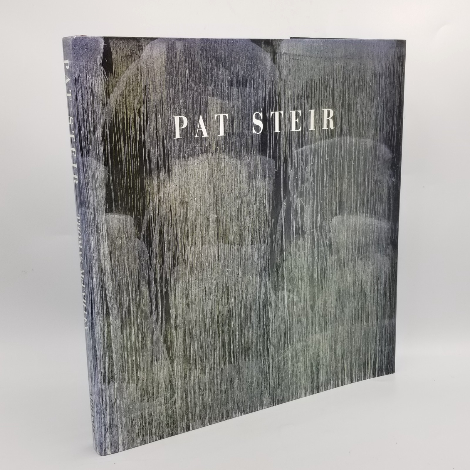 Pat Steir 1995 Abrams Art Monograph Color Paintings HCDJ