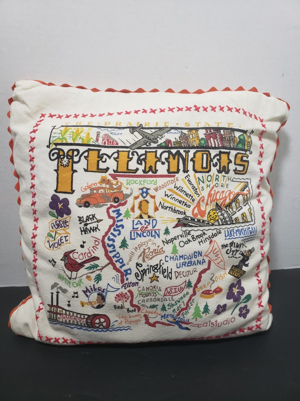 RARE CATSTUDIO 12 X 12 PILLOW ILLINOIS Some Marks Please See Pictures