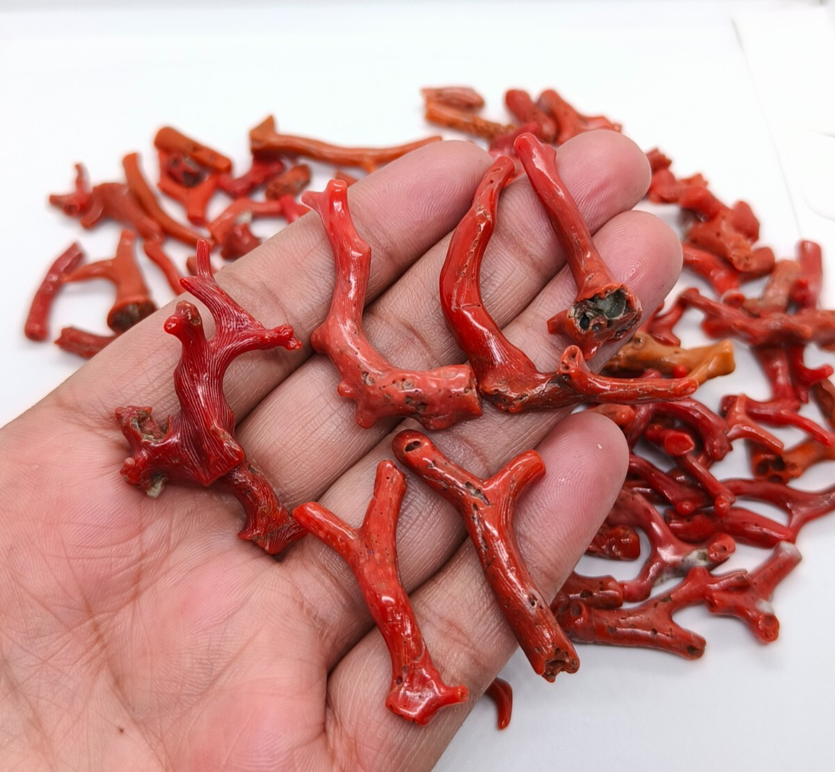100 Crt Lot Mediterranean Sea Red Coral Rough Branch-Natural Red Coral Branch 100 Crt Lot Mediterranean Sea Red Coral Rough Branch-Natural Red Coral Branch
