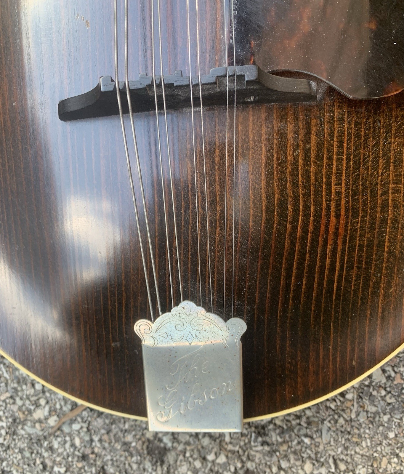 Antique Gibson Mandolin Instrument