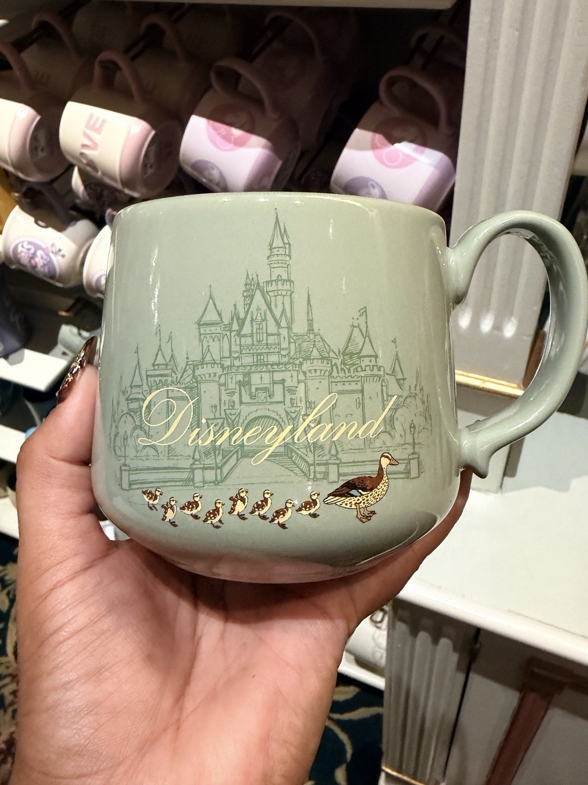 🪿New Disneyland Resort \ 🪿New Disneyland Resort \