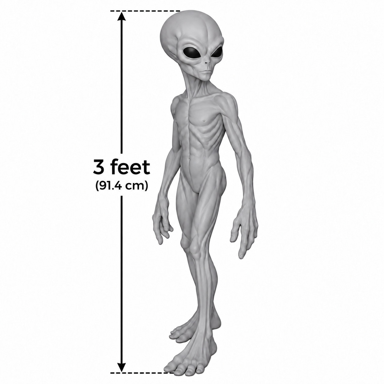 Life Size Alien Replicas Dark Grey THEM 1947 (New Models Added)