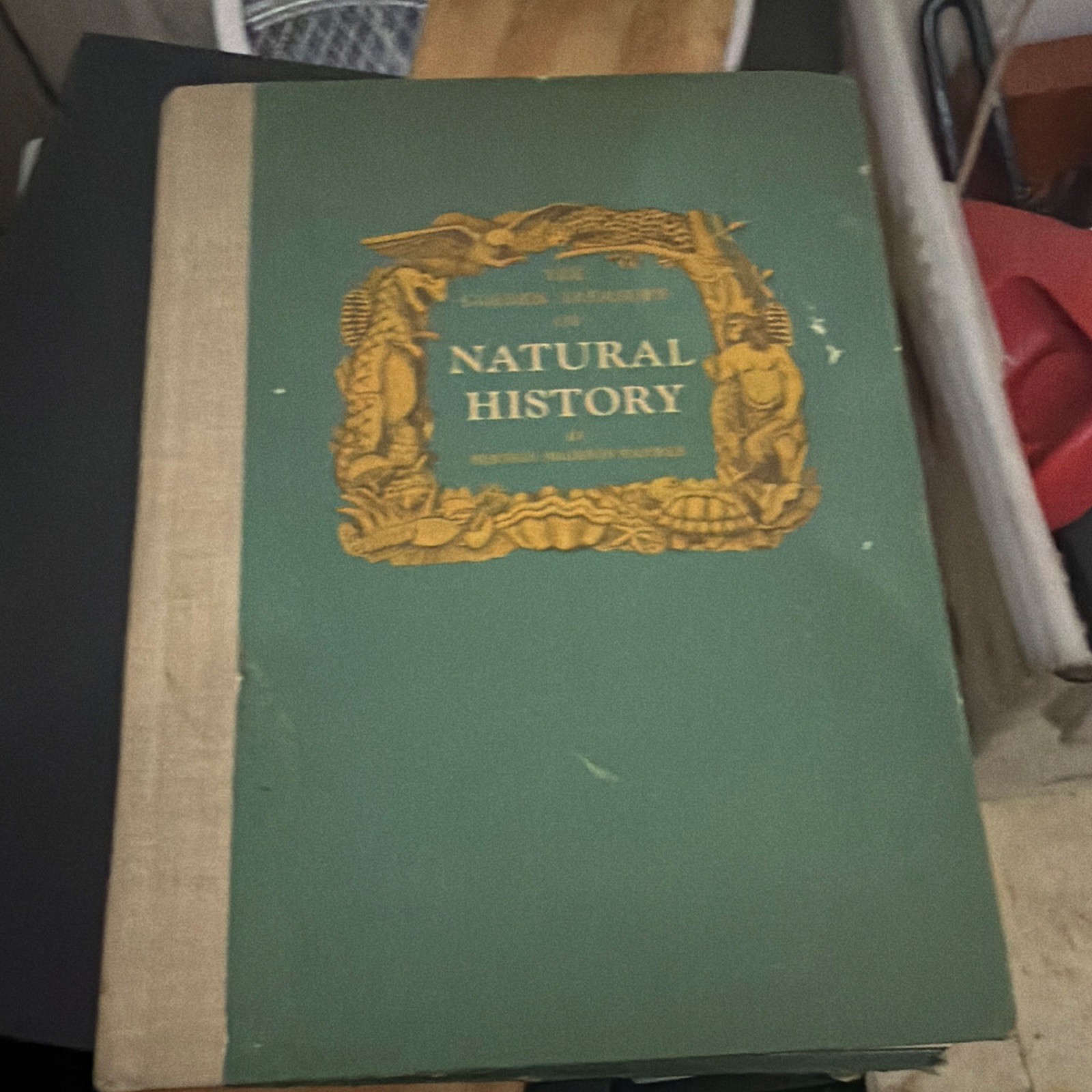 Golden Treasury The Golden Treasury of Natural History Bertha M. Parker HC Illus Golden Treasury The Golden Treasury of Natural History Bertha M. Parker HC Illus