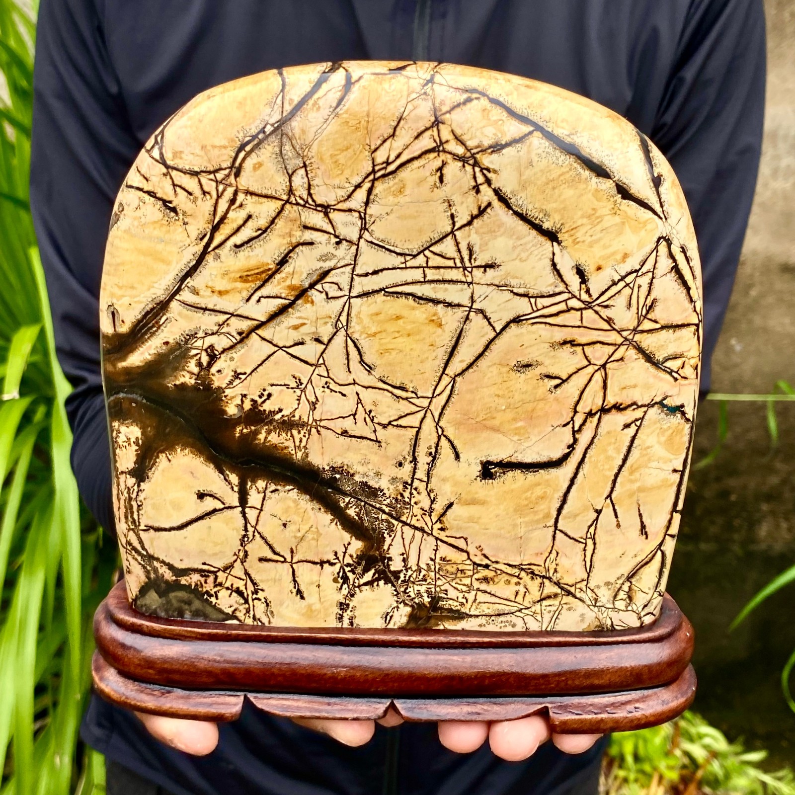 4.54LB Beautiful Natural Chinese Dendritic Limestone Picture Stone Guohua -Rare