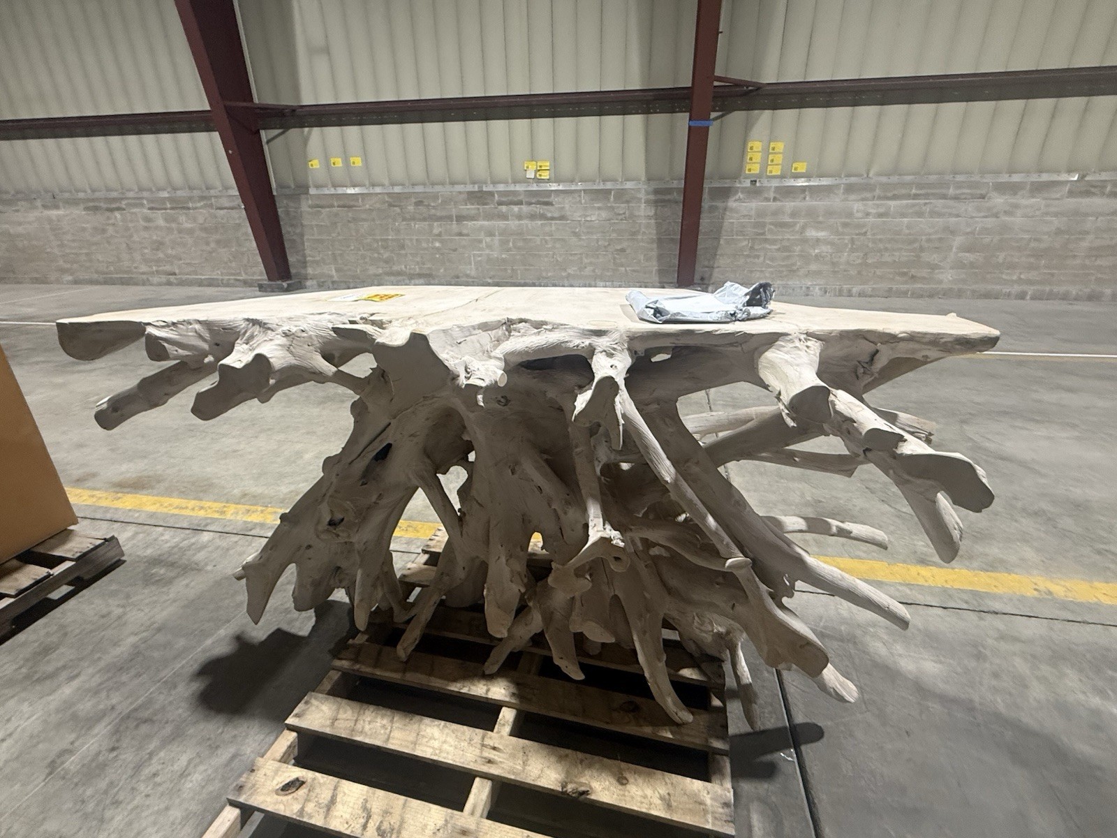 Very Unique Tree Root Table For Coastal Or Rustic Settings Very Unique Tree Root Table For Coastal Or Rustic Settings