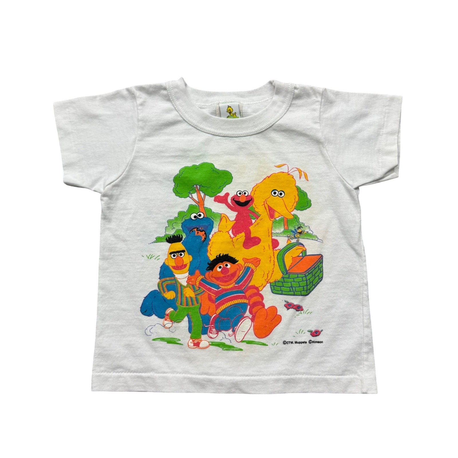 Vintage Sesame Street T-Shirt Tee Big Bird Elmo Picnic USA Kids 2T