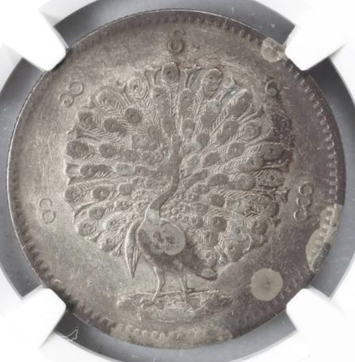 Burma PEACOCK 1852 AD Kyat Silver Coin CS1214 Myanmar Asian Mandalay Mint NGC XF Burma PEACOCK 1852 AD Kyat Silver Coin CS1214 Myanmar Asian Mandalay Mint NGC XF