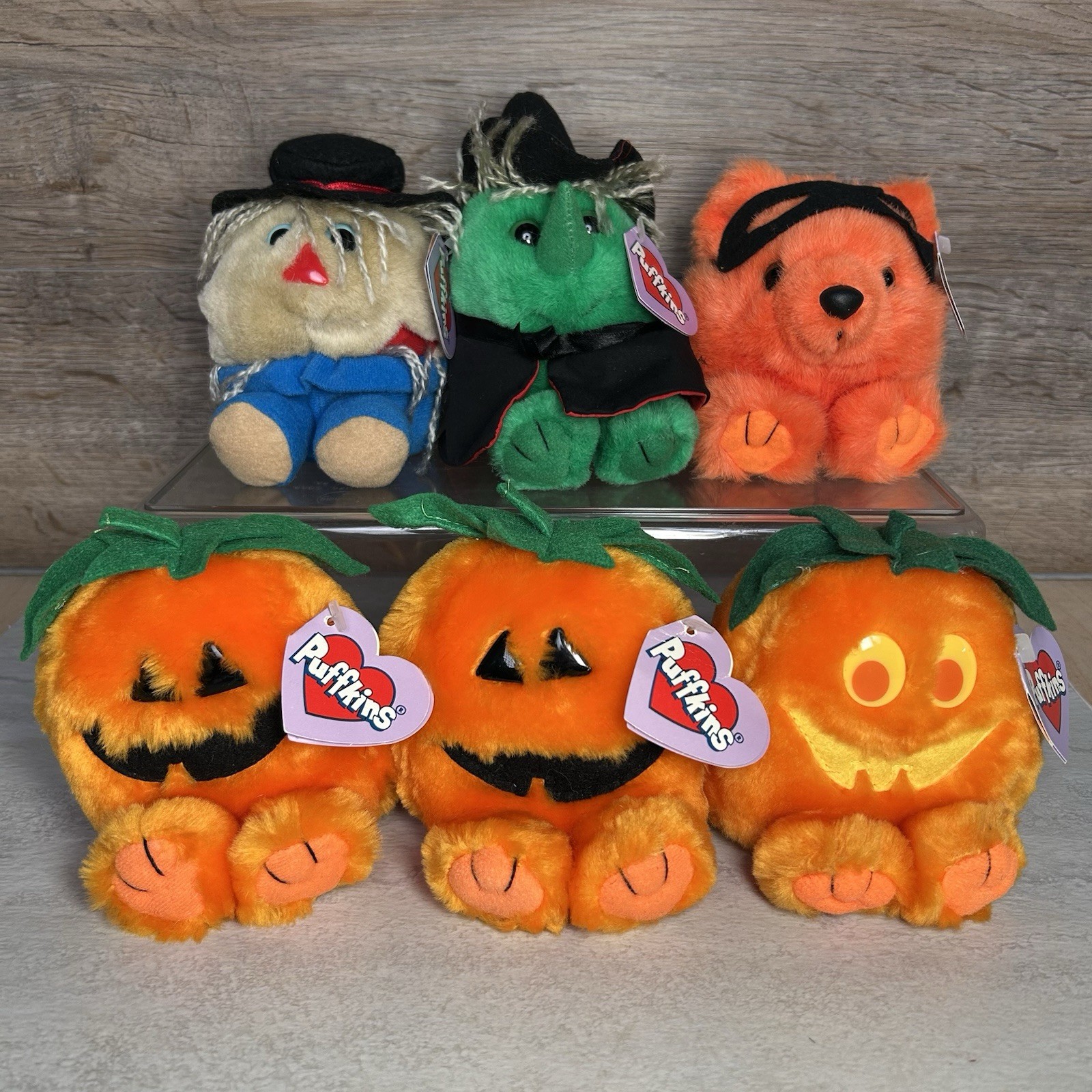 Lot of 6 Halloween Puffkins Plush (Gourdy, Jack, Trick, Hazel, Patches), w/tags