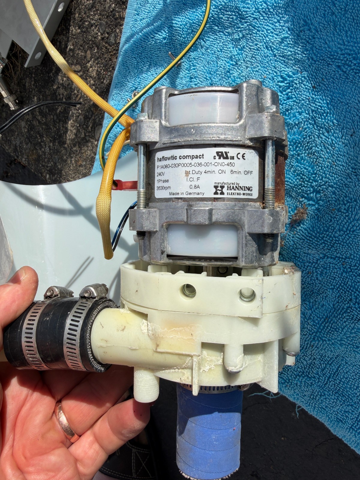 Hobart 00-942096-00004 Drain Pump - From working LXER 2017 Advansys - See Pics Hobart 00-942096-00004 Drain Pump - From working LXER 2017 Advansys - See Pics