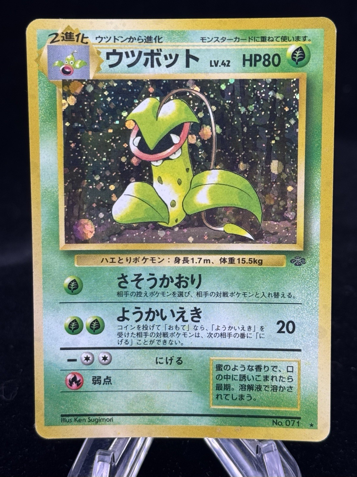 Victreebel Holo #71 Japanese Jungle 1997 Pokemon MP / HP 🍃 Victreebel Holo #71 Japanese Jungle 1997 Pokemon MP / HP 🍃