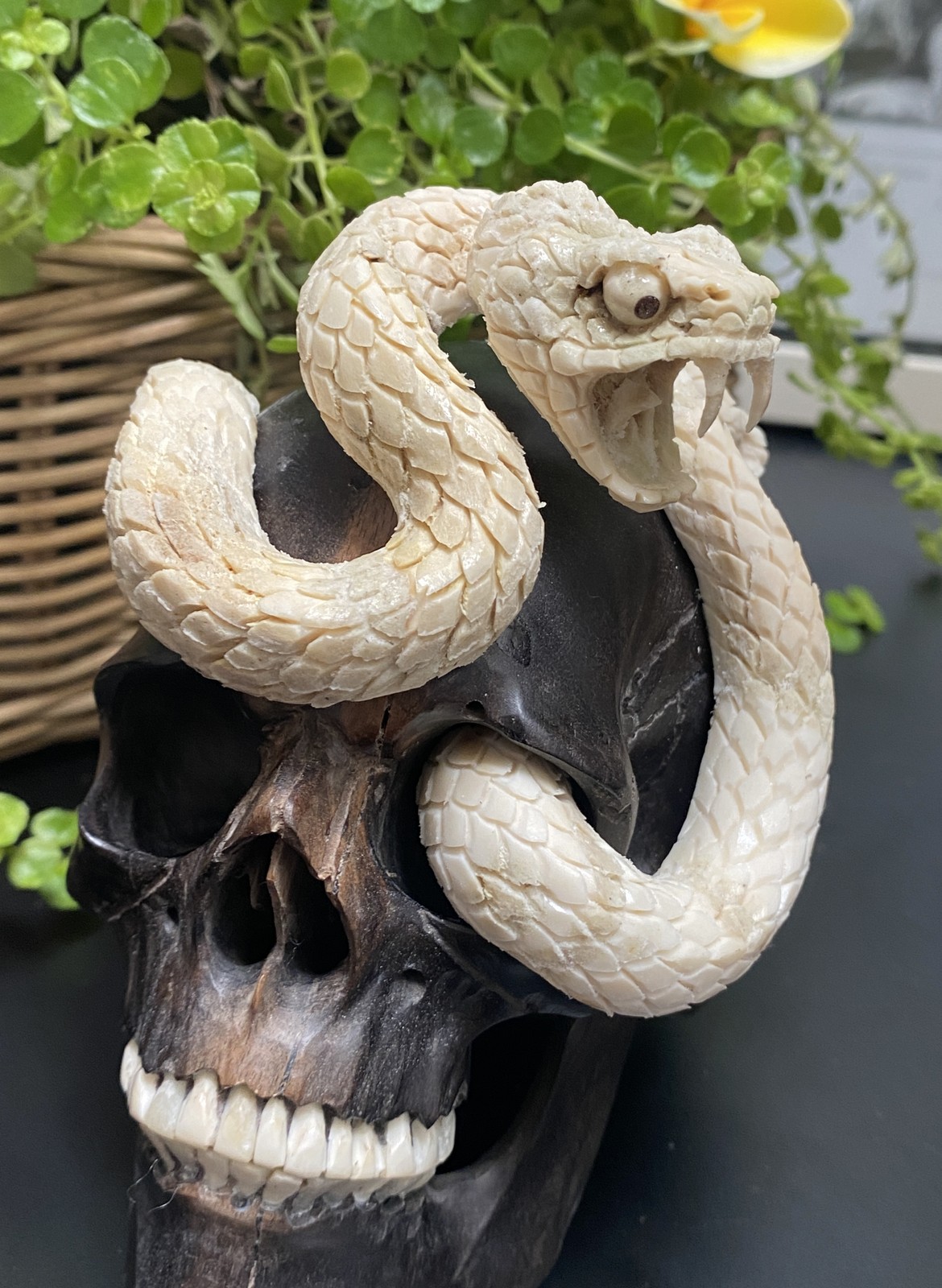 Black Wood Carved Human Skull Sculpture Cobra Snake Carving made from Antler