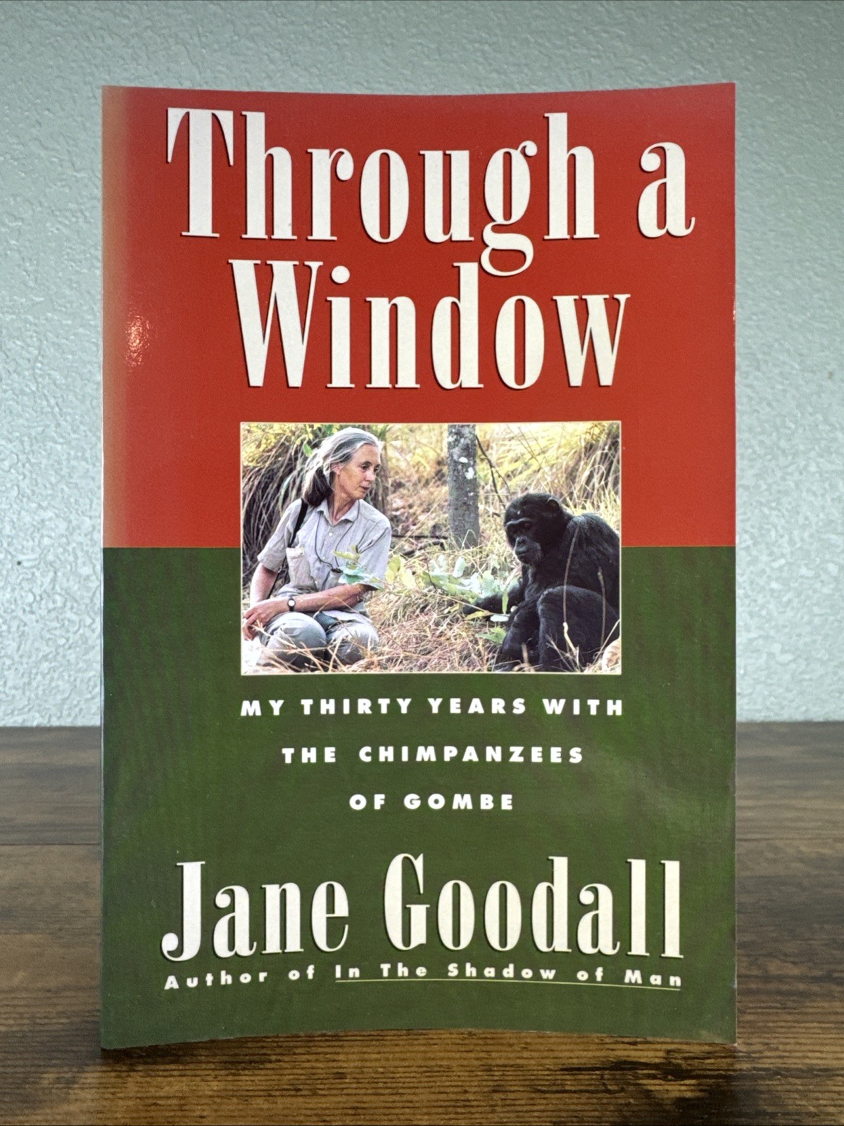 THROUGH A WINDOW BY JANE GOODALL *SIGNED* PB - CHIMPANZEES OF GOMBE THROUGH A WINDOW BY JANE GOODALL *SIGNED* PB - CHIMPANZEES OF GOMBE