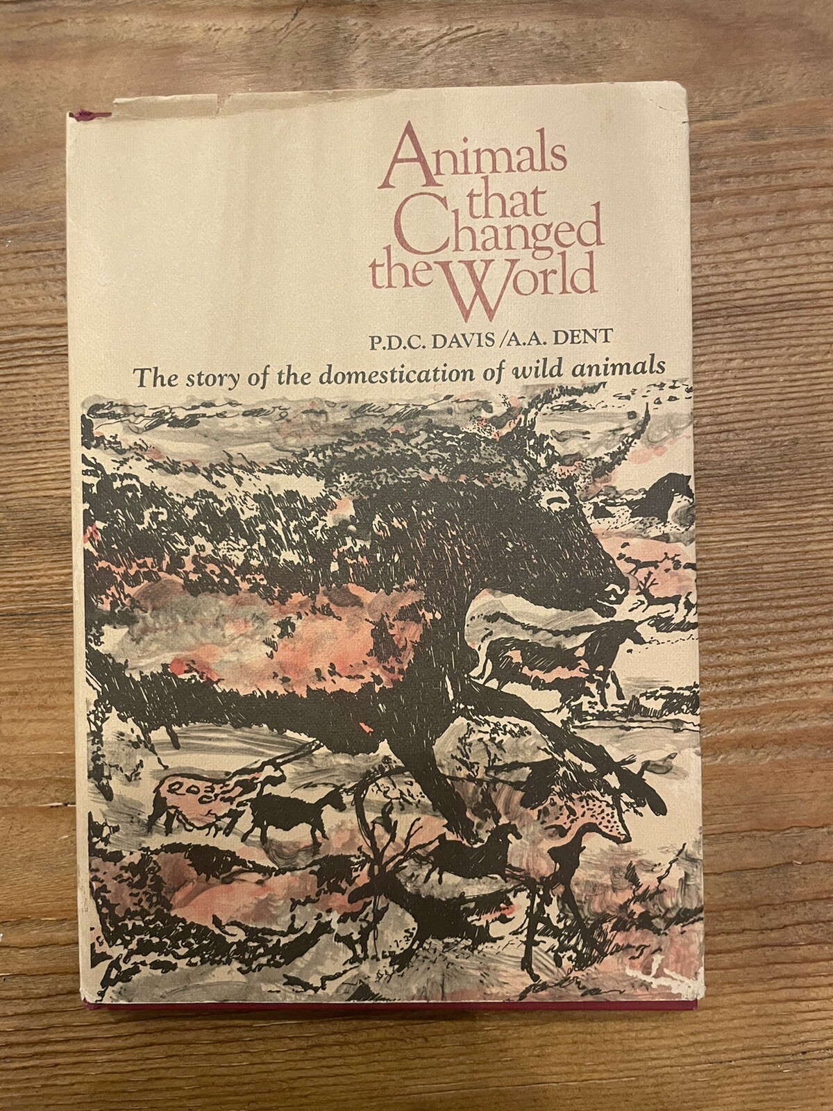 First Edition \