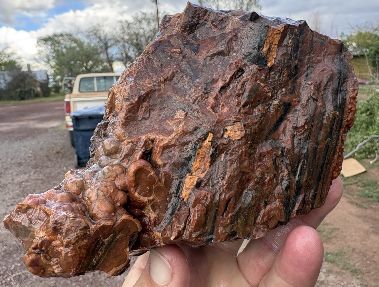 ☘️RR⛏️: Druzy Agate Mini-stump W/fossil Root, NE Arizona 4+ Lb 🌈