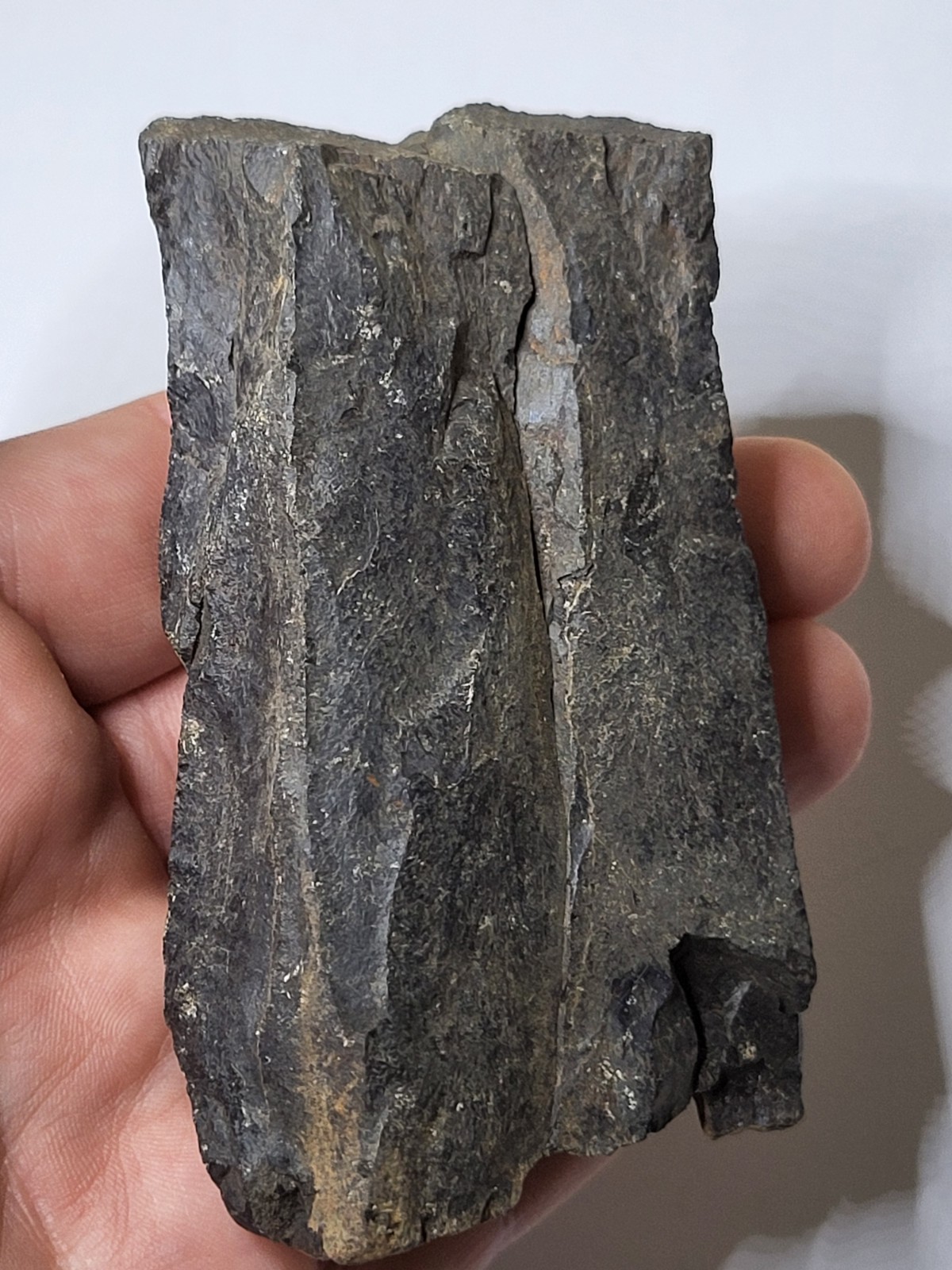 Large Dark Tyrannosaur Limb Dinosaur Fossil T-Rex Nanotyrannus Hell Creek Ref084