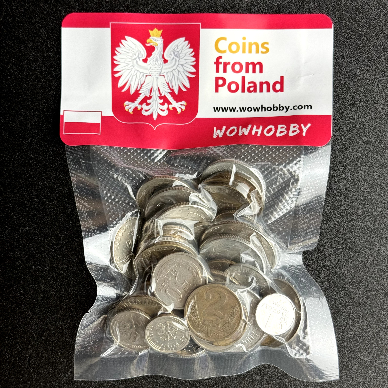 Polish Coin Collection Lot 🇵🇱 50 Random Coins from Poland 🇵🇱