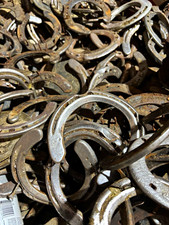 Lot of 24 Used Metal Horseshoes, Mixed Sizes,  picture