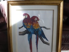 Print Framed and Matted 36