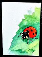 ACEO Hand Painted Art Card. Signed By Artist. Hand Painted Not A Print picture