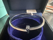 NewT1Narrow Diamond Hinged Bangle in white GoldTfCoSize M picture