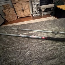 Daiwa Team Daiwa Spinning Surf Rods2-Piece Surf Spinning FISHING 12’ MHFS picture