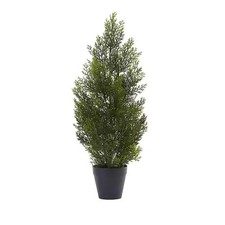 Nearly Natural Indoor and Outdoor 2 ft. Artificial Mini Cedar Pine Tree picture