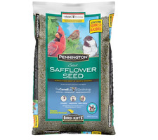 Pennington Recipe Selects Safflower Seed Wild Bird Feed and Seed, 7 lb. New Bag picture