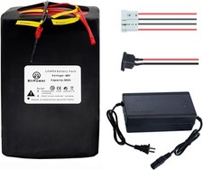 BtrPower 48V 20Ah/25Ah/30Ah/35Ah/45Ah/50Ah Battery for 1000W Motor with 50A BMS picture