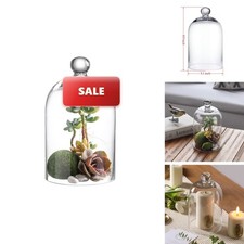 KMwares Clear Glass Display Dome Cloche Bell Jar Tabletop Decorative Case picture