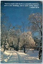 Postcard - Winter Scene picture