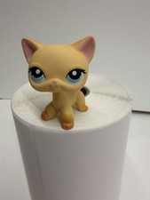 Littlest Pet Shop Auth LPS #339 Shorthair Cat Yellow Brooke Hayes Aqua Eyes READ picture
