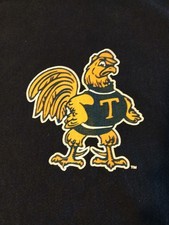 Trinity College (CT) Bantams Vintage Champion Hoodie size L picture