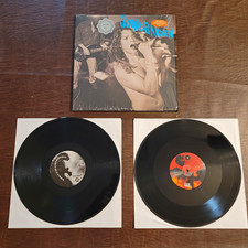 2013 Soundgarden - Screaming Life / Fopp (Vinyl Record 2 LP) picture
