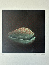 Yozo Hamaguchi 1976 1/75  picture