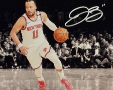 JALEN BRUNSON - NEW YORK KNICKS - SILVER Autographed 8x10 Photo w/COA picture