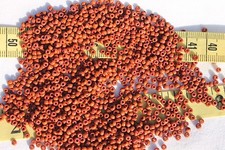 9/0 Vintage French Glass Mixed Opaque Light & Medium Brown Seed Beads 1oz picture