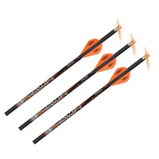 Ravin Crossbow Arrows With lighted Nocks 400grain (.003