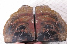 Stunning Vintage Arizona Rainbow Petrified Wood Bookends Mirror Bookmatched Pair picture