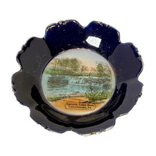 CANADENSIS Pennsylvania PA Antique SPRUCE CABIN DAM Souvenir COBALT TRINKET picture