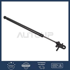 For 2018-2025 Toyota Camry Rear Right Trunk Strut Replace 64530-06010 picture