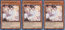 *** 3X ASH BLOSSOM & JOYOUS SPRING 3X *** PLAYSET 1ST EDITION SDCB-EN014 YUGIOH picture