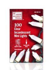 Holiday Time 100 Clear White Christmas Wedding Mini Lights String Indoor Outdoor picture